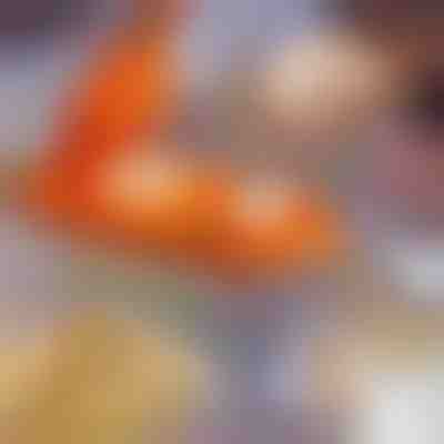 Máquina de fazer bolinhos 2 em 1 | DUMPLINGER