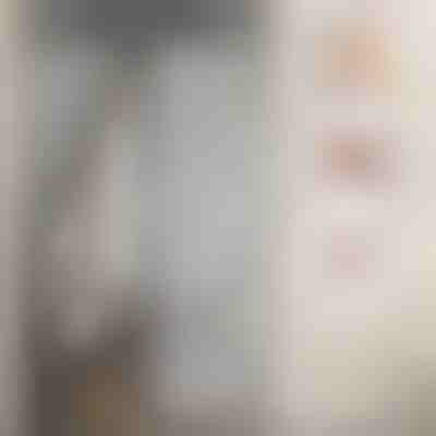 Rede mosquiteira magnética para portas | INSECTPROTECT