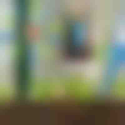 CONJUNTO PARA REGA DE 12 PEÇAS | PLANTDROPS