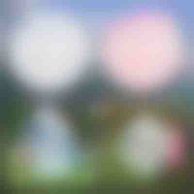 Bolha Inflável Multifuncional | SLIMEBUB