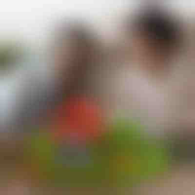 Cubos magnéticos minicraft (48 peças) | MAGCRAFTI