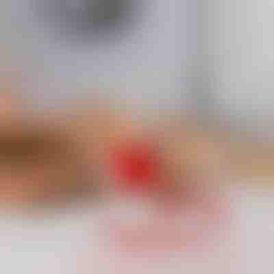 Brinquedo para animais que se move ao toque | GATOPLAY