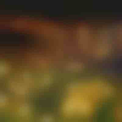 Grinalda de luzes solares com 6 lâmpadas LED | SOMPEX