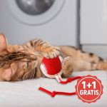 GATOPLAY